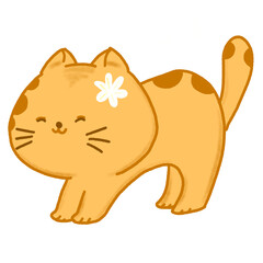 Cat30