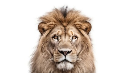 Majestic lion photo realistic illustration - Generative AI.