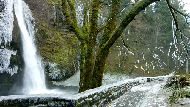 Autumn Majesty: Multnomah Falls in Oregon, USA, Bedecked in Vibrant Colors, Presented in Breathtaking 4K Resolution