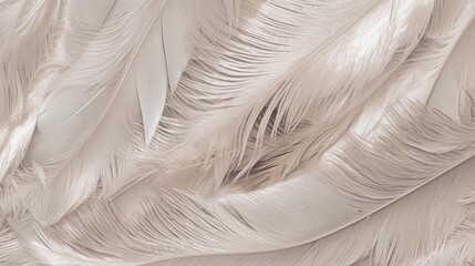 close-up view of a feather texture, capturing the delicate strands and intricate details