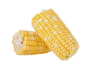 corn on transparent png