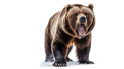 Powerful grizzly bear photo realistic illustration - Generative AI. - obrazy, fototapety, plakaty