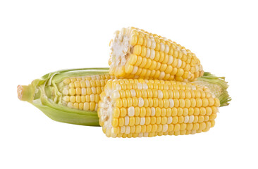 corn on transparent png
