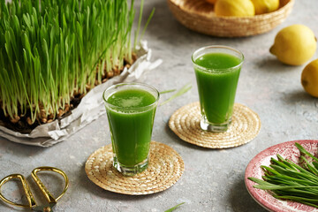 Fresh green barley grass juice in glass cups