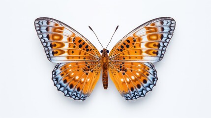 Fototapeta na wymiar Delicate butterfly photo realistic illustration - Generative AI.