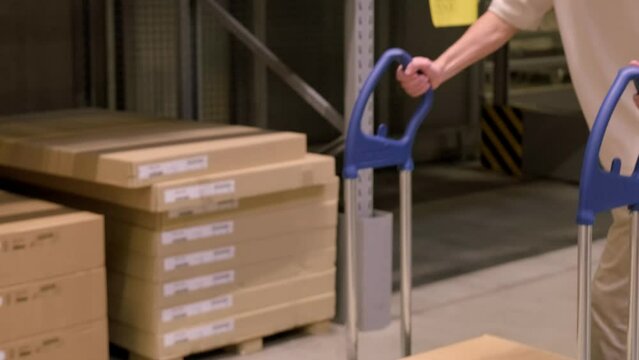 man carries large shopping trolley in IKEA furniture store, shopping for goods DIY and Home Improvement, transport furniture for own projects, Budget-Friendly Shopping, Frankfurt - July 1, 2023