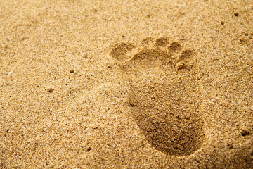 footprint in the sand