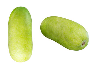 Marrow vegetable or Wax gourd