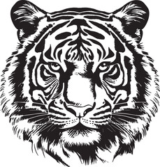 Tiger Big Cat Head Jungle Animal