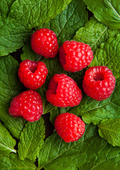 Raspberries on mint leaves clos up. Natural healthy food. Still life photography