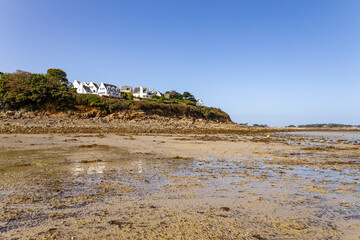 Plage du Kélenn - Frankreich Bretagne 10