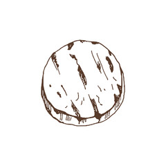 Organic food. Hand drawn vector sketch of grilled squash. Doodle vintage illustration. Decorations for the menu of cafes and labels. Engraved immage.