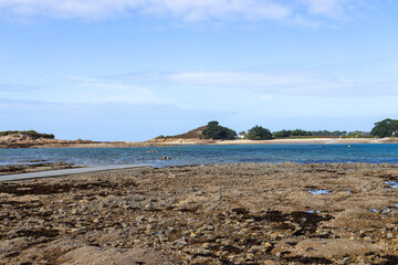 Île Callot - Carantec - Frankreich Bretagne 2