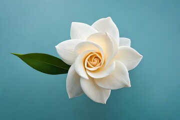 Fototapeta na wymiar white rose flower generated Ai technology