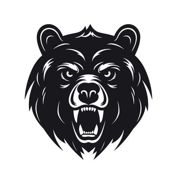 Grizzly bear head on a white background. Vector illustration