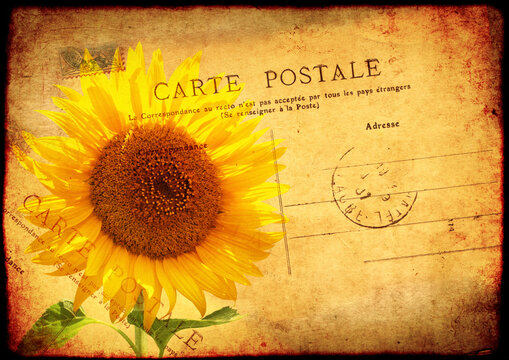 Grunge background with texture of the old, soiled paper, sunflower and vintage post card