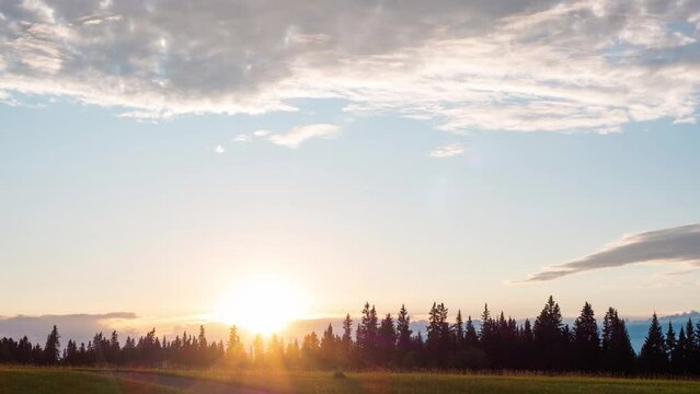 coloful sunset at pineforest 4k timelapse footage. Clouds traveling above wide angel view meadow landscape. Travel in nature in fall season amazing scenery. sun rays, sun burst over horizontal sky.