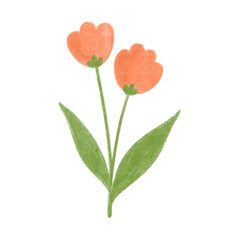 cute minimal flower plant with color pencil style