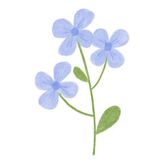 cute minimal flower plant with color pencil style