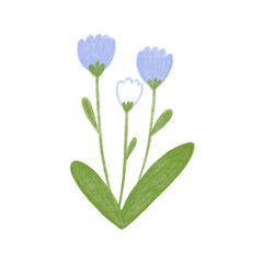 cute minimal flower plant with color pencil style
