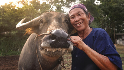 Love moment of Asian senior farmer and buffalo. Relationship of human and animal.