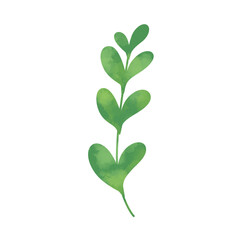 Green botanical leaves