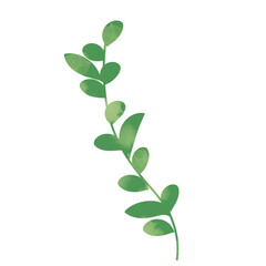 Green botanical leaves