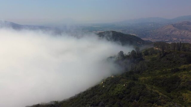 Fog Rolling in over Pine Trees in Mountains above Santa Barbara