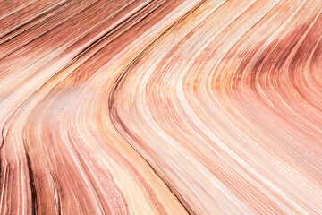 The Wave is an awesome vivid swirling petrified dune sandstone formation in Coyote Buttes North. It could be seen in Paria Canyon-Vermilion Cliffs Wilderness, Arizona. USA