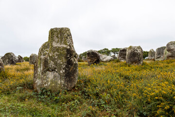 Steinreihen von Carnac, Frankreich - 17