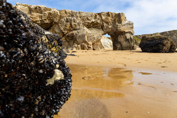 Pointe de Percho - Quiberon, Frankreich 25