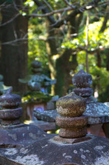 奈良 春日大社の視界に広がる沢山の灯籠と森の新緑