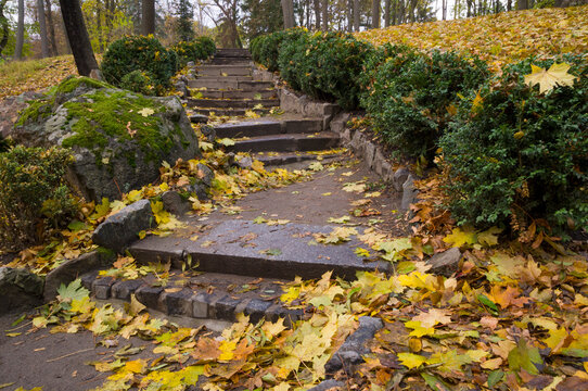 Yellow leaves lying on the steps in the autumn park