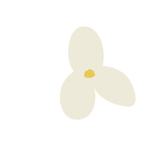 Bloom Flower Abstract