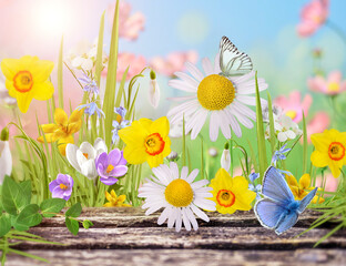 Beautiful wild flowers,  butterfly in morning haze in nature  Delightful airy artistic image.