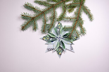 banknotes in the form of snowflakes and Christmas tree branch