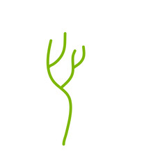 Flower Stem Illustrations