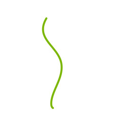 Flower Stem Illustrations