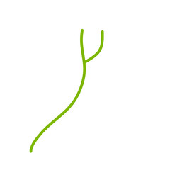 Flower Stem Illustrations