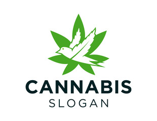 Logo about Cannabis on a white background. created using the CorelDraw application.