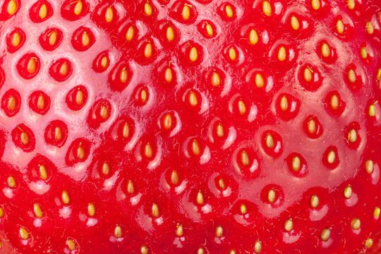 Strawberry skin texture close-up. Food background.