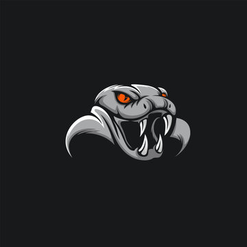 Vector Head Cobra Logo Illustration