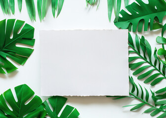 Fototapeta na wymiar Fresh and Vibrant: Green Leaves Frame and Border on White Background, Organic Design Concept