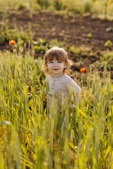 Toddler boy standing in a field at countryside, looking at camera.