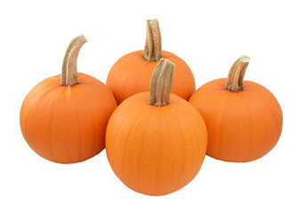 Four ripe orange pumpkins, isolated on a white background