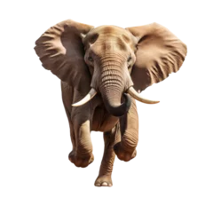 Fotobehang elephant © Panaphat