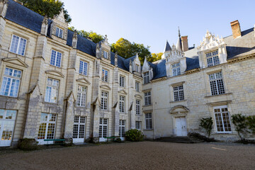 Fototapeta na wymiar Château de Ussé - Frankreich, 19