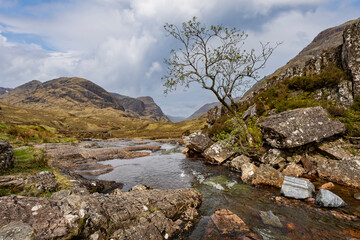 The lone tree by the river in Glencoe