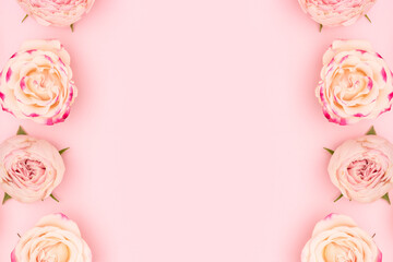 Fototapeta na wymiar Frame made of rose flowers on a pink background. Festive composition with copy space.