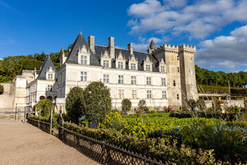 Fototapeta na wymiar Château de Villandry in Frankreich , Loire - 38